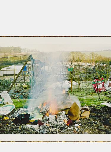 Books Something Like A Nest - Andy S Black don0590110