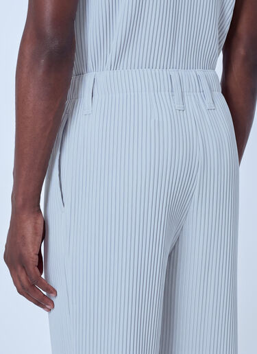 LN-CC® - Homme Plissé Issey Miyake: Pleated Cropped Pants - Grey Homme Plissé Issey Miyake Pleated Cropped Pants Grey hmp0166011