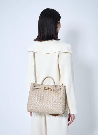 Bottega Veneta Medium Andiamo Handbag Beige bov0260014