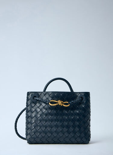 Bottega Veneta Small Andiamo Handbag Blue bov0264011