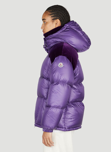 Meandre Down Jacket Moncler Meandre Down Jacket Purple mon0253007
