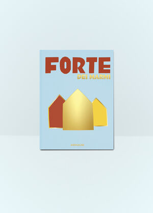Assouline Forte Dei Marmi Blue wps0691694