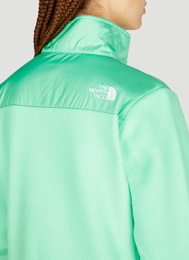 The North Face Icons Denali Jacket Green tnf0250045