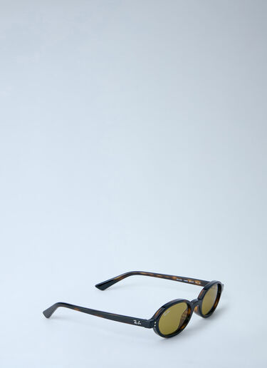 Ray-Ban Khal Bio-Based Sunglasses Brown lrb0364001