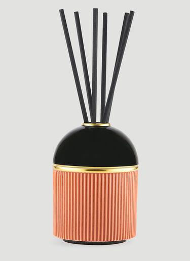 Ginori 1735 The Amazon Fragrance DIffuser Orange wps0670244