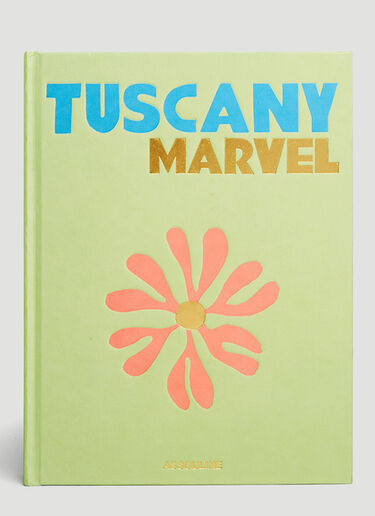 Assouline Tuscany Marvel Book Green wps0690011