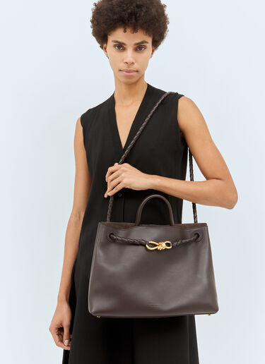 Bottega Veneta 中号 Andiamo 手提包 棕色 bov0258026