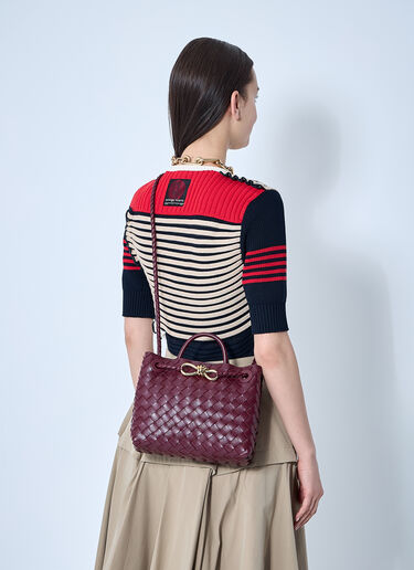 Bottega Veneta 스몰 안디아모 핸드백 버건디 bov0259030