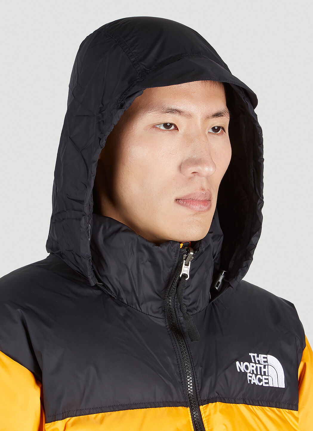 Zinnia orange nuptse hot sale