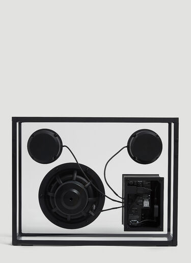 TRANSPARENT SOUNDS Large Transparent Speaker Black tps0546001