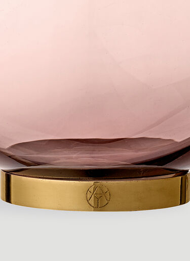 AYTM Globe Vase Pink wps0670076