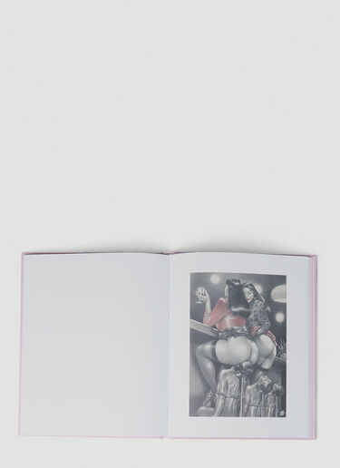 Baron Book Namio Harukawa published by Baron - second edition Pink bbr0548001