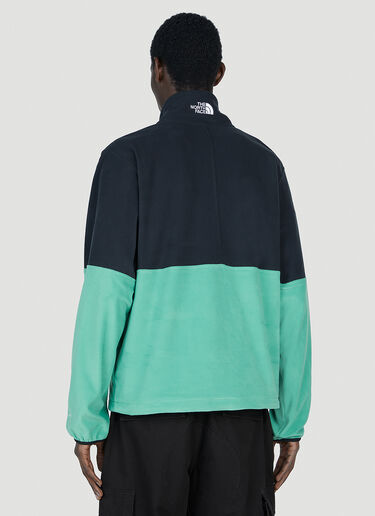The North Face Polartec 徽标运动衫 绿色 tnf0152020