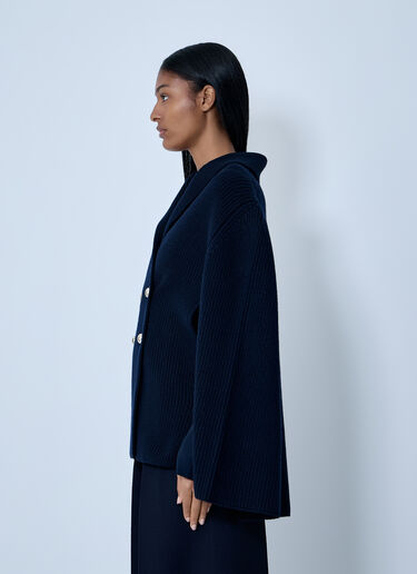 Knitted Cape Max Mara Knitted Cape Blue max0263041