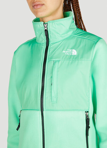 The North Face Icons Denali Jacket Green tnf0250045