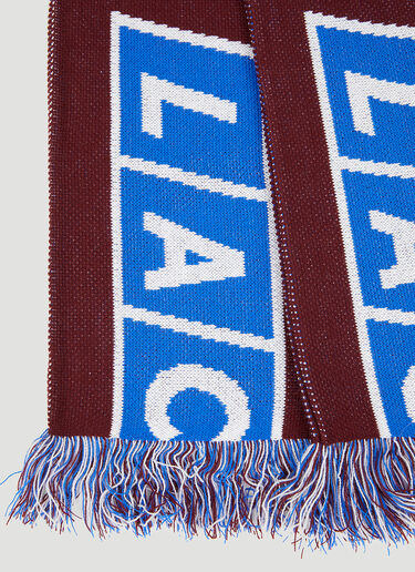 Lack of Guidance Gabriel Scarf Brown log0150002