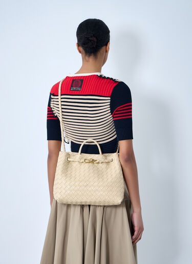 Bottega Veneta Andiamo Medium Handbag Beige bov0263013