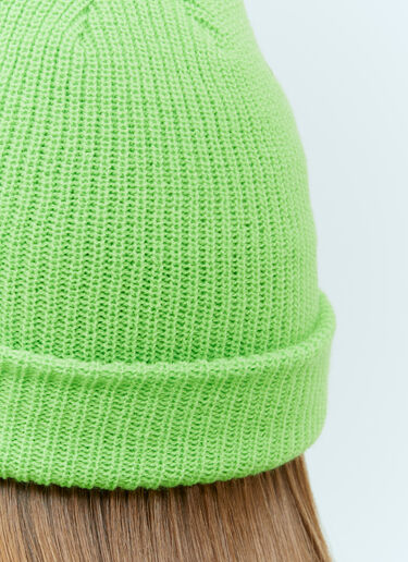Stüssy Basic Cuff Beanie Hat Green sts0153021