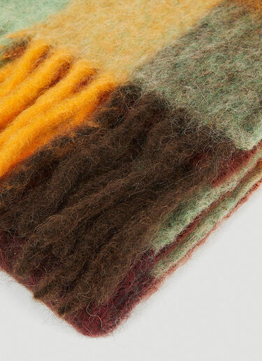 Acne Studios Fringed Check Scarf Multicolour acn0148066