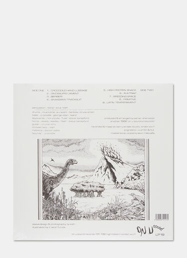 Music AFRICAN HEAD CHARGE : ENVIRONMENTAL STUDIES Black mus0504127