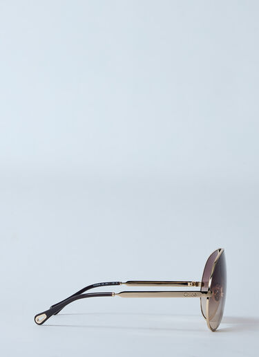 Chloé CH0283S Sunglasses Brown cls0259003