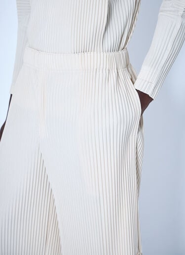Homme Plissé Issey Miyake Pleated Shorts Beige hmp0164010