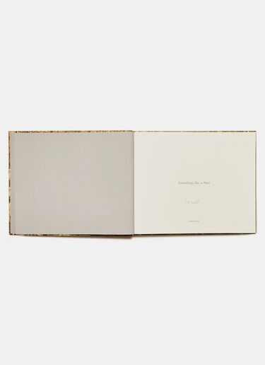 Books Something Like A Nest - Andy S Black don0590110