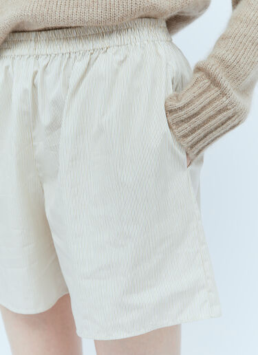 The Row Gunther Stripe Shorts Brown row0253019