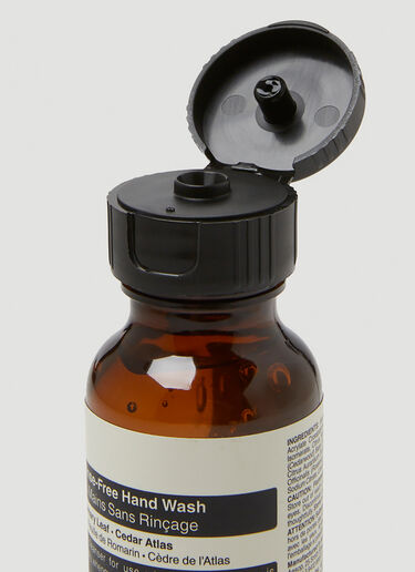 Aesop Resurrection 免洗洗手液 棕色 sop0349009