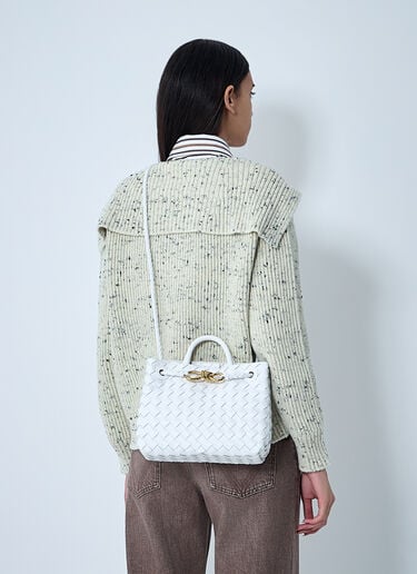 Bottega Veneta Medium Andiamo Handbag White bov0261034