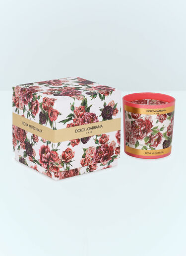 Dolce & Gabbana Casa Musk Rose Scented Candle Pink wps0691249