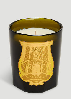 Trudon Madeleine Candle Green wps0670169