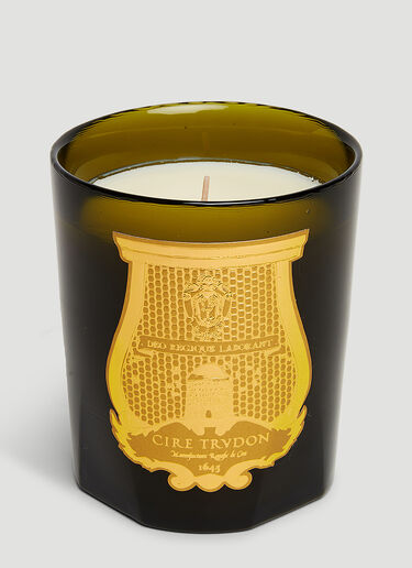 Madeleine Candle Trudon Madeleine Candle Green wps0670169