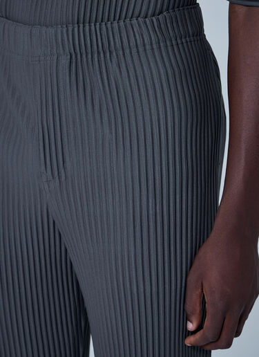 Homme Plissé Issey Miyake プリーツパンツ  グレー hmp0160017