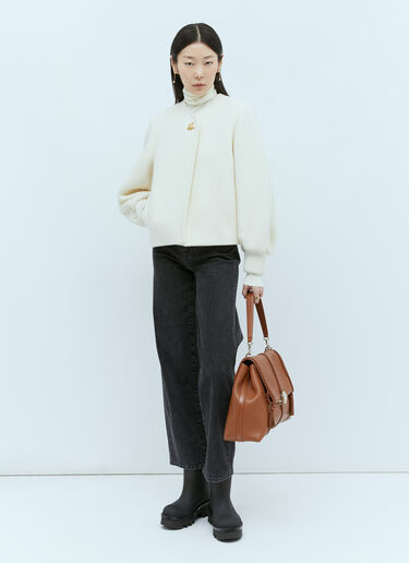 Chloé Penelope 大号单肩包 棕色 chl0255042