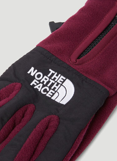 The North Face The Denali Etip™ Gloves Pink tnf0154023