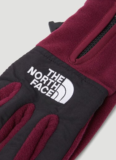 The North Face デナリ Etip™ グローブ ピンク tnf0154023