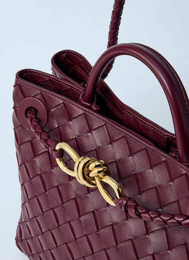 Bottega Veneta 스몰 안디아모 핸드백 버건디 bov0259030