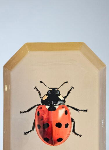 Les-Ottomans Rectangular Ceramic Tray Multicolour wps0692524