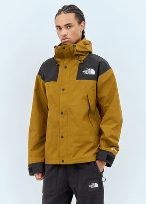 The North Face GTX Mountain Jacket Green tnf0158007