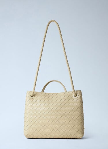 Bottega Veneta Andiamo Medium Handbag Beige bov0263013