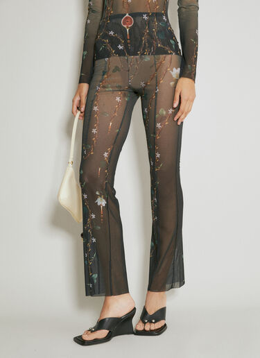 DI PETSA Fig Tree Mesh Pants Black dip0254005