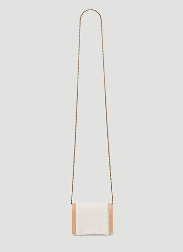 Saint Laurent Mini Gaby Shoulder Bag Beige sla0252068
