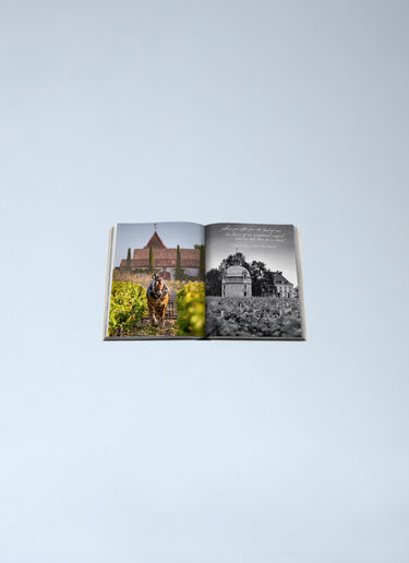 Assouline Wine & Travel France Orange wps0691914