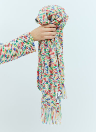 x JWA Jolly Knit Scarf A.P.C. x JWA Jolly Knit Scarf Multicolour apc0154014