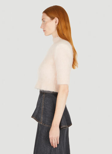 Fastoso Sweater Sportmax Fastoso Sweater Pink spx0250028