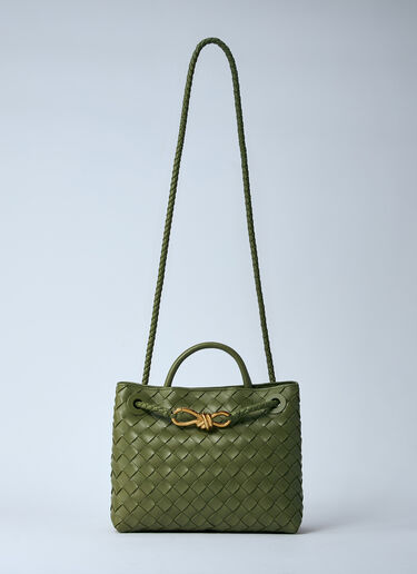 Bottega Veneta Small Andiamo Handbag Green bov0260037