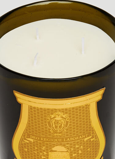 Cyrnos Large Candle Trudon Cyrnos Large Candle Green wps0670171