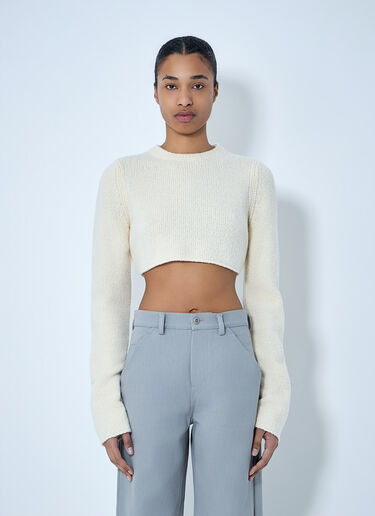 RIER Cropped Knit Sweater Beige rrr0264003