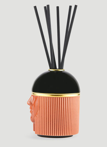 Ginori 1735 The Amazon Fragrance DIffuser Orange wps0670244